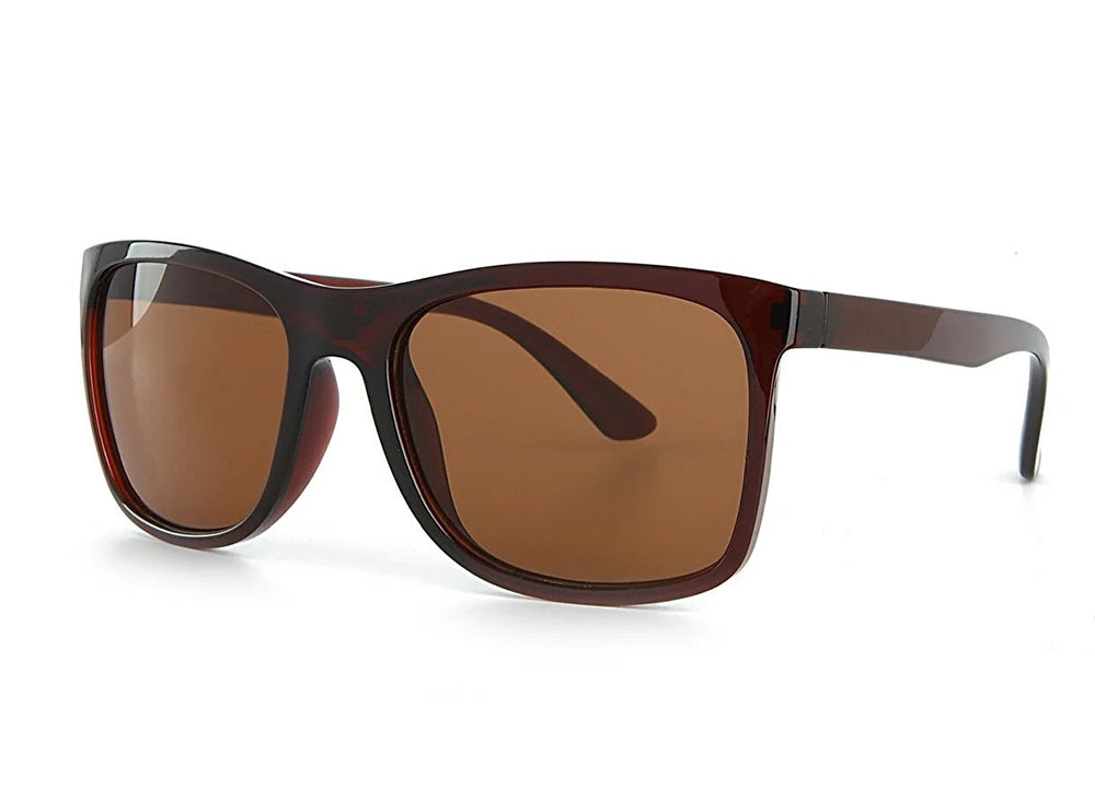 Aqua Di Polo Brown Sunglass For Men