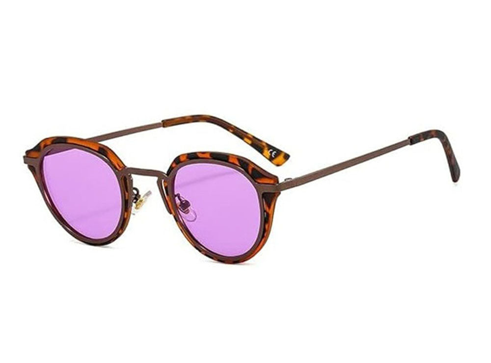 Aqua Di Polo Purple & Brown Sunglass Unisex