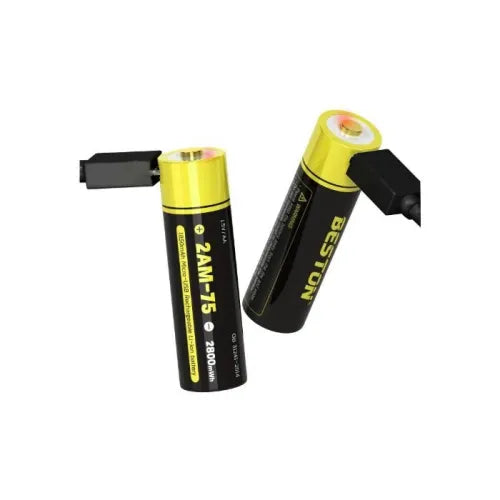 Beston Li-ion Rechargeable AA Micro USB Batteries Pack of 2