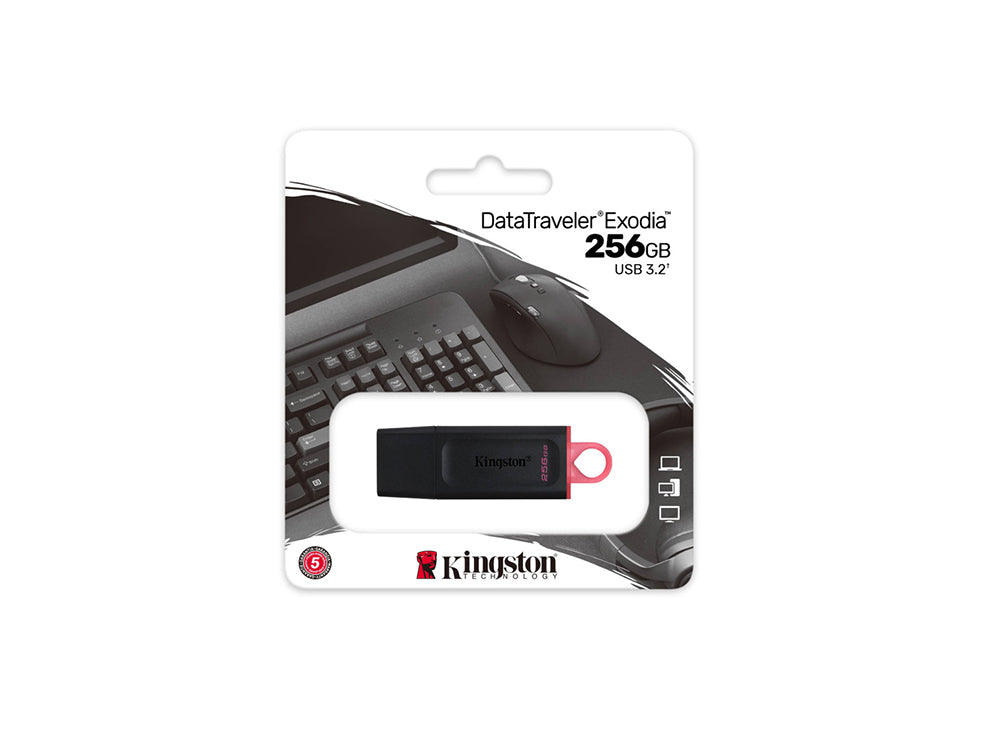 Kingston USB 256GB