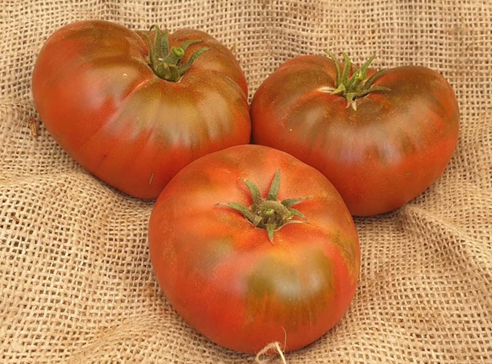 Seed Bound Hybrid Tomato Seeds - Special Type
