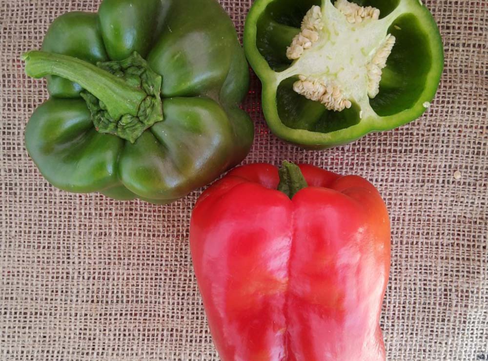 Seed Bound Hybrid Sweet Pepper Seeds - Classic Type