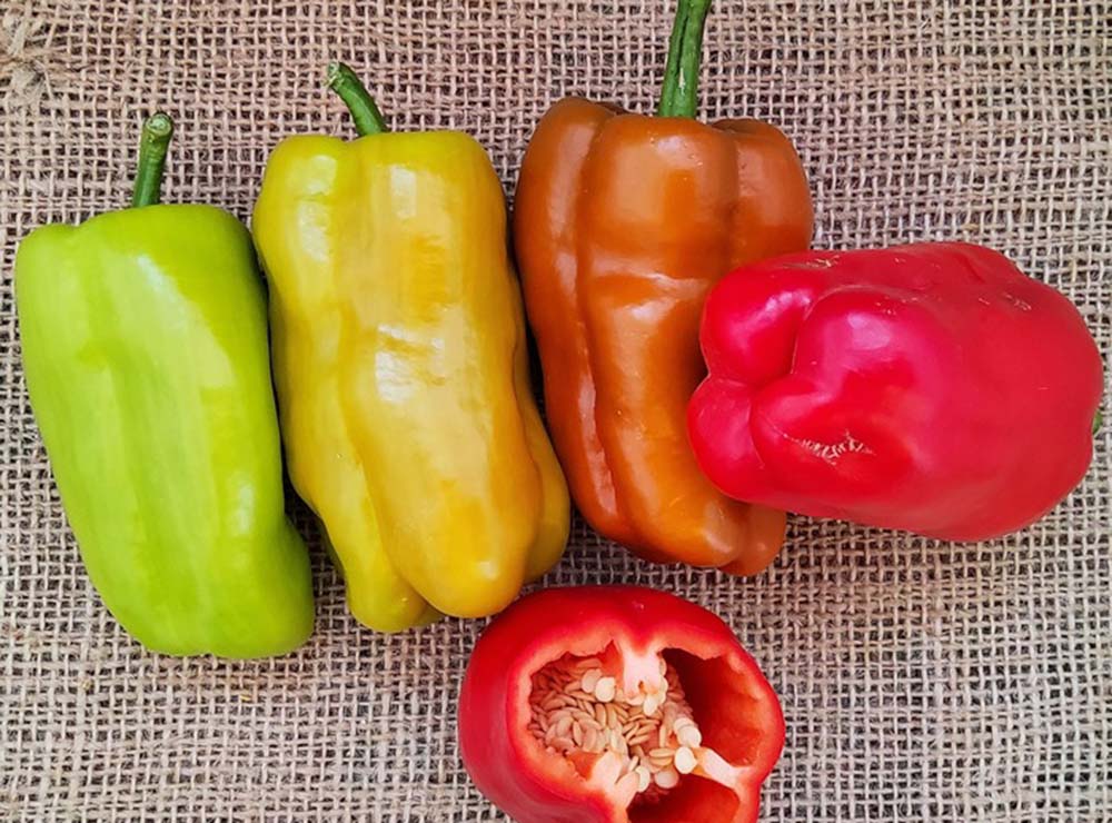 Seed Bound Hybrid Sweet Pepper Seeds - Special Type