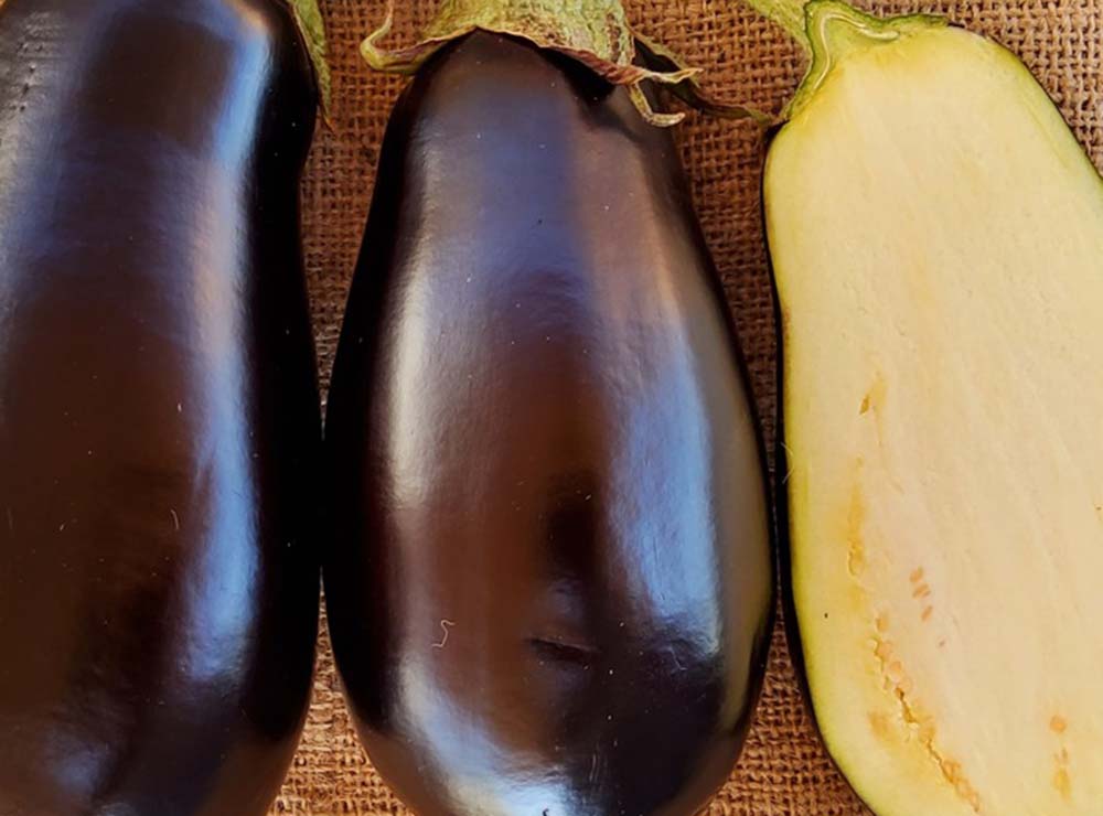 Seed Bound Hybrid Eggplant Seeds - Classic Type