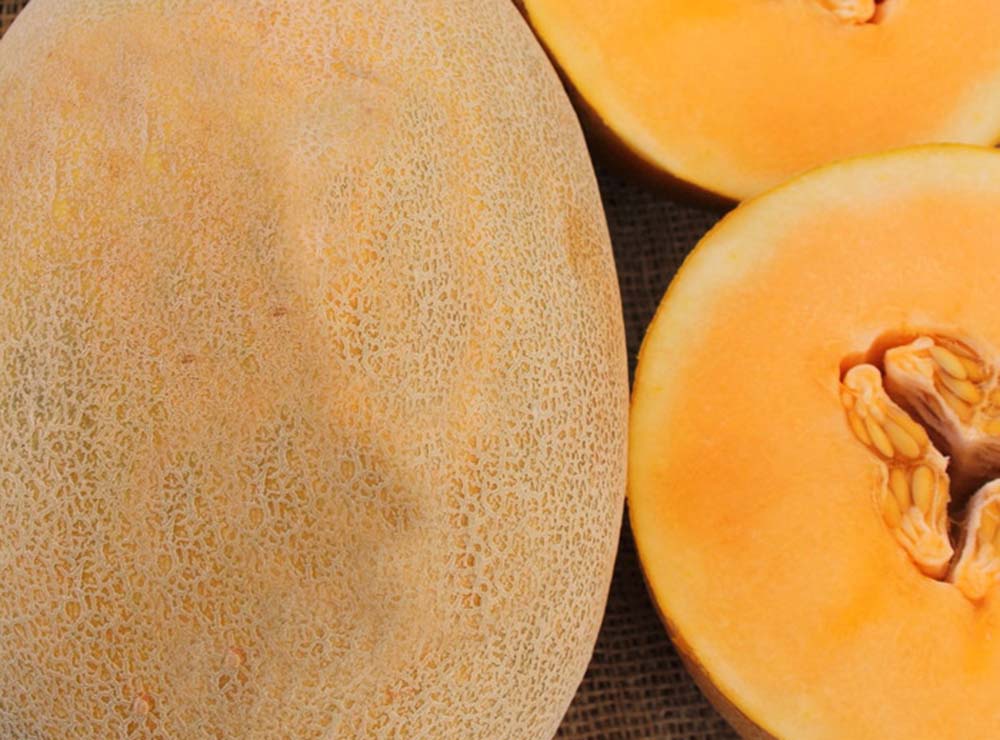Seed Bound Hybrid Melon Seeds - Classic Type