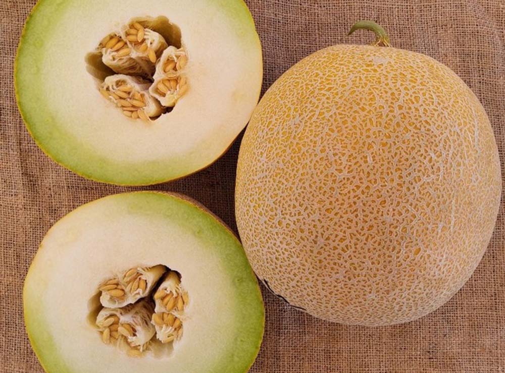 Seed Bound Hybrid Melon Seeds - Special Type