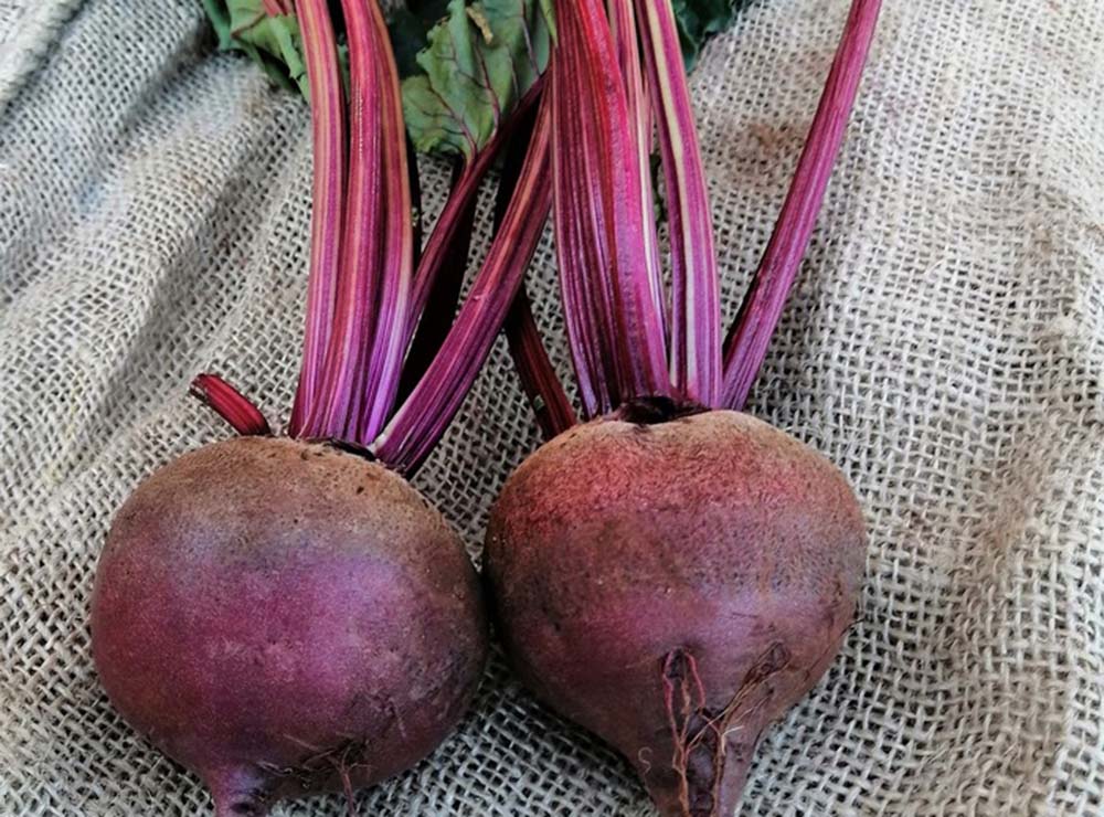 Seed Bound Hybrid Red Beet Seeds